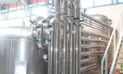 Azienda Vitivinicola Il Colle