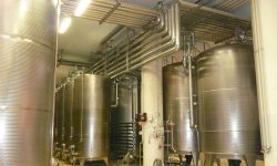 Azienda Vitivinicola Il Colle