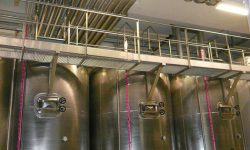Azienda Vitivinicola Il Colle